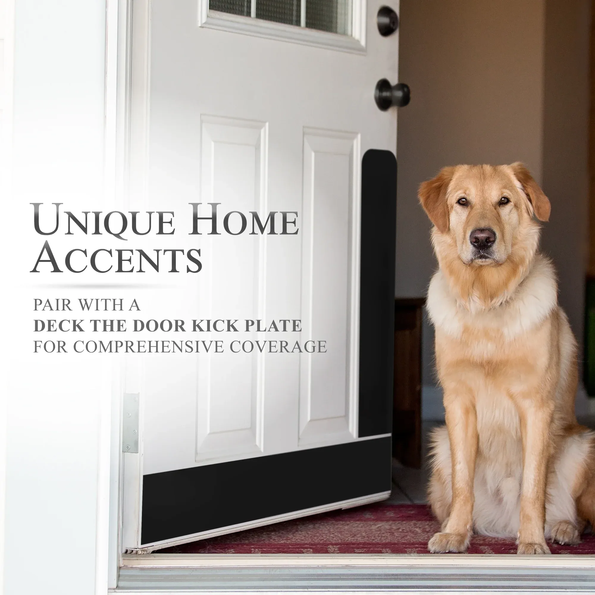 Dog Scratch Prevention Door Plate bundled with a door kick plate