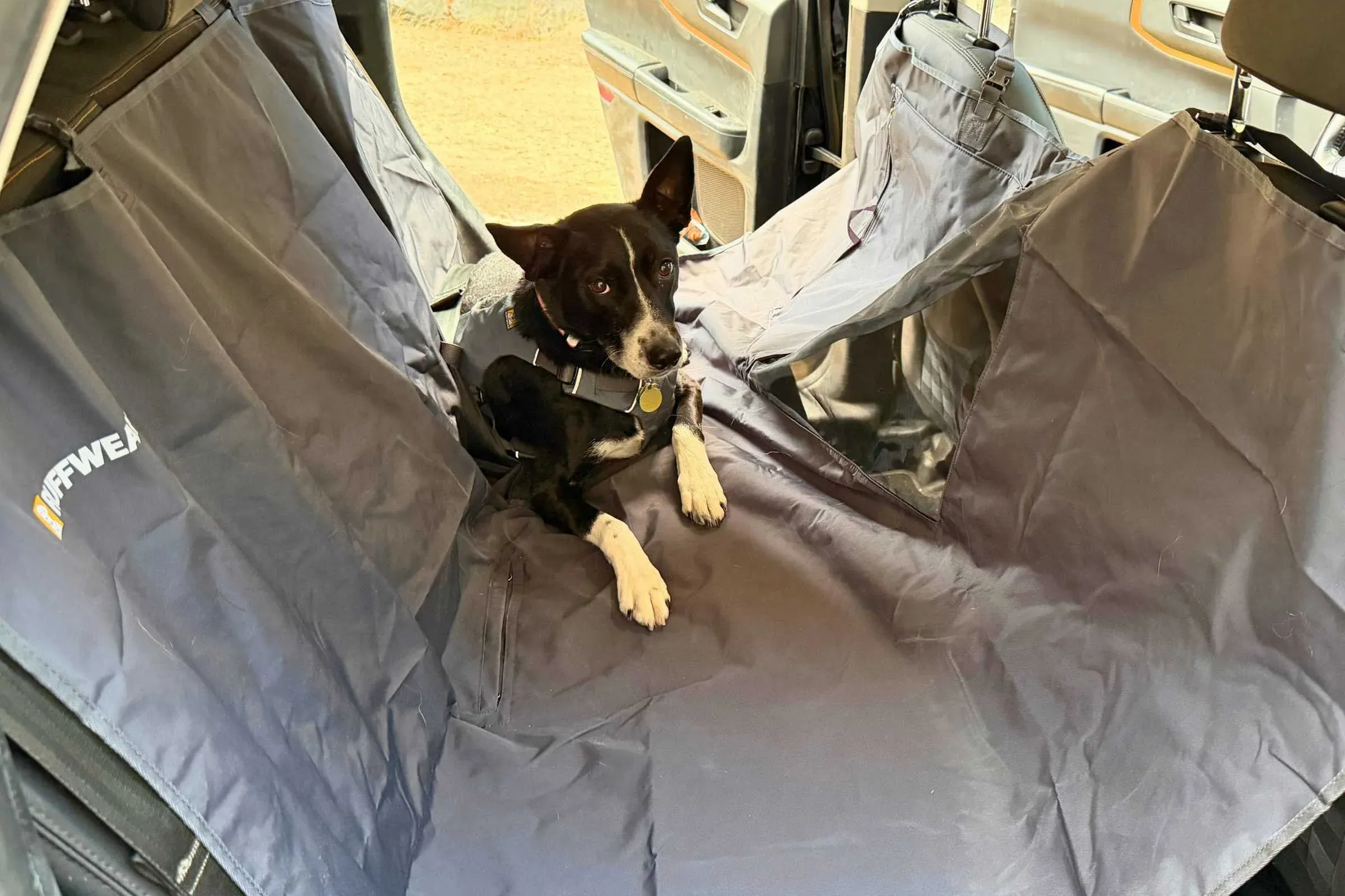 Properly installed dog seat cover inside SUV showing full seat protection system