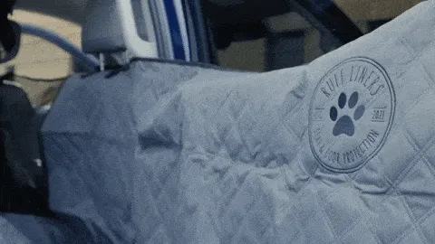 Close-up of durable pet seat cover materials designed to resist scratches and stains