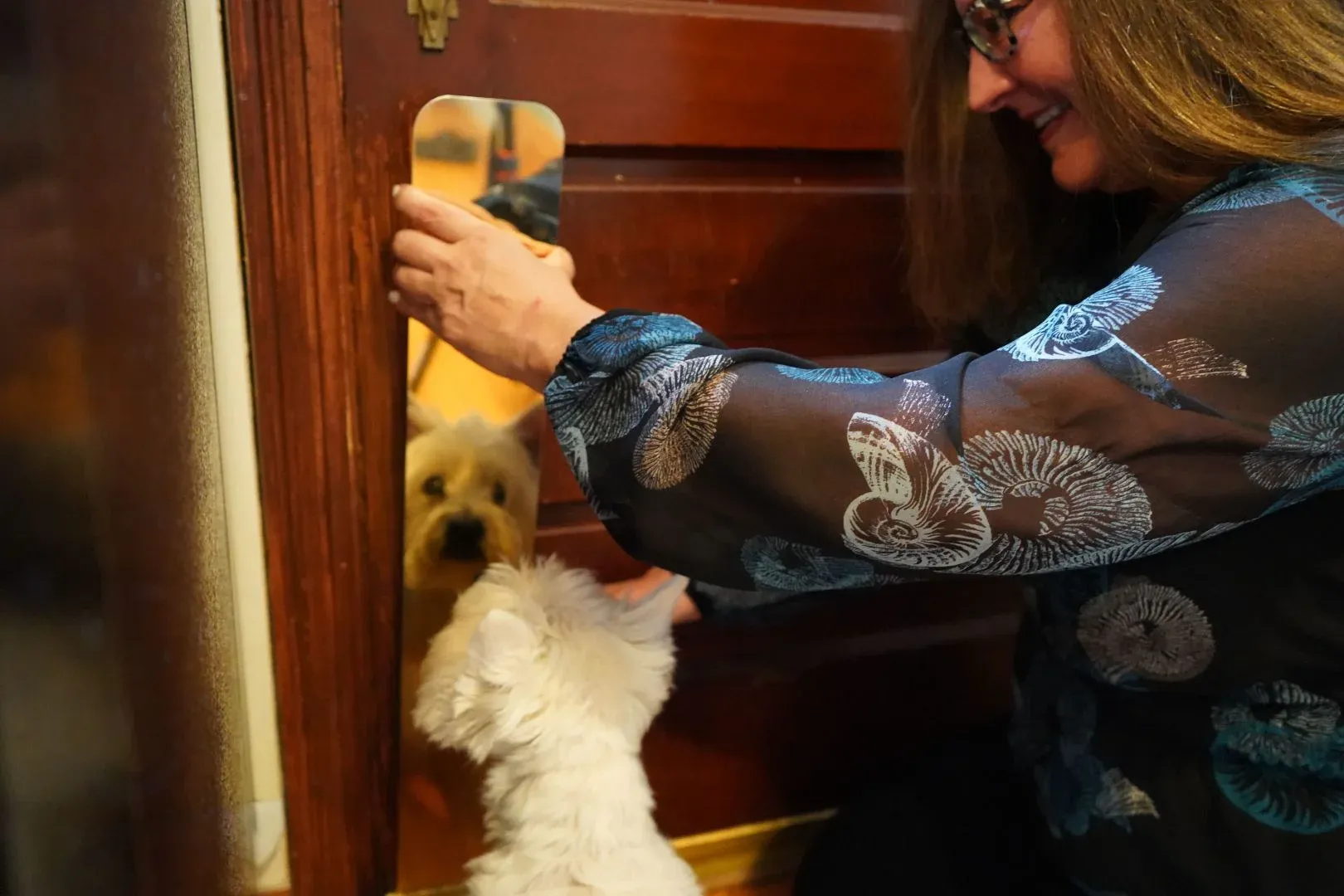 Installing 3M adhesive mount brass dog scratch plate