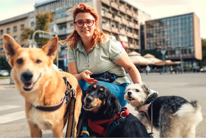 Dog walker posing with three dogs on a city street