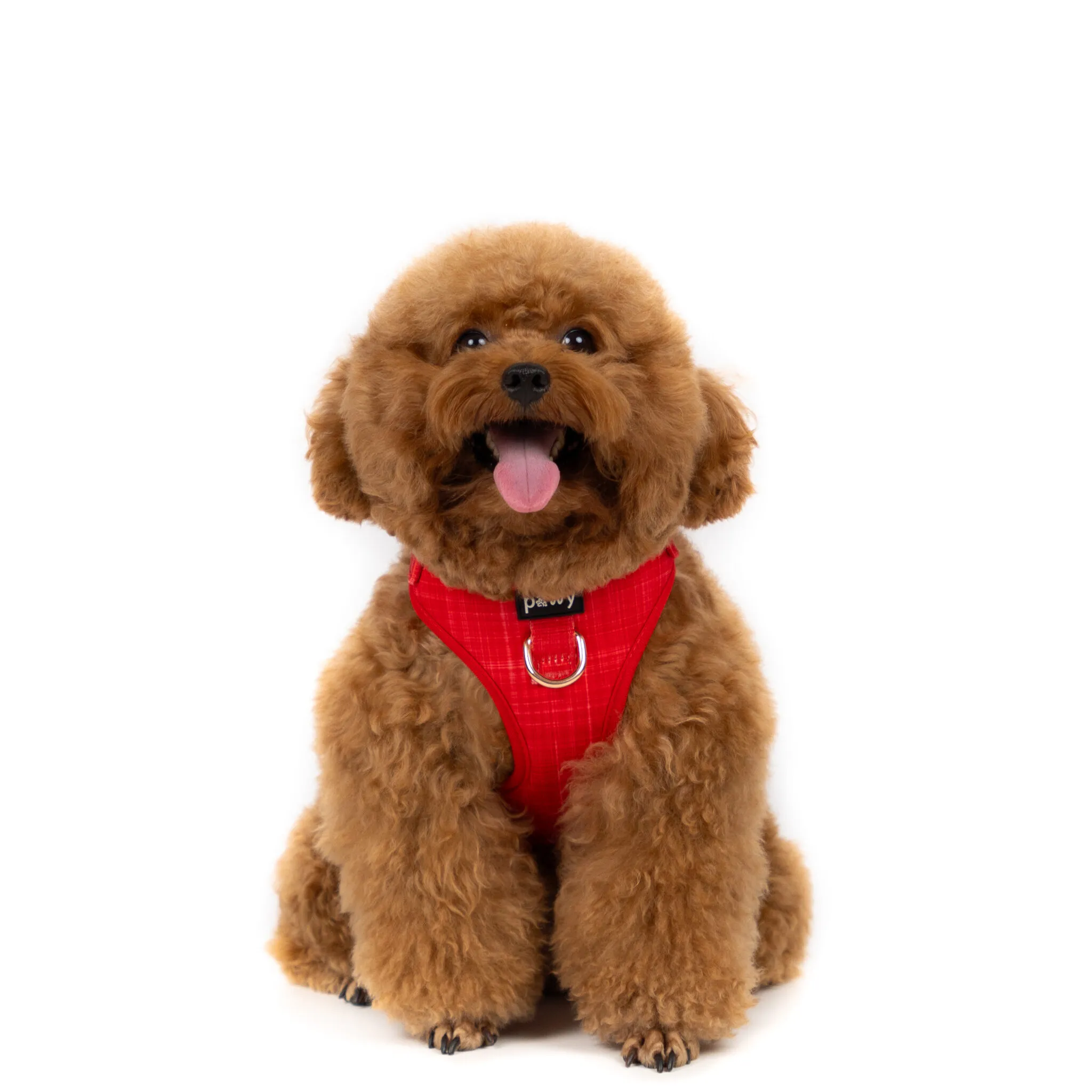 Pawy Dog Adjustable Harness in Luxwear Red