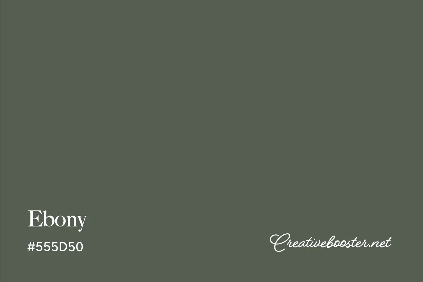 Ebony black color sample with hex code and muted undertones