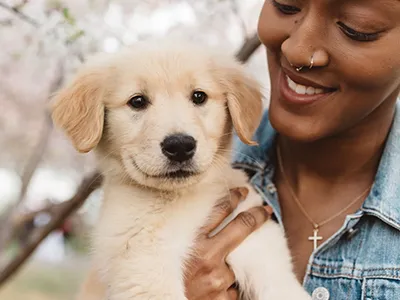 A Labrador retriever and a young girl enjoying time together