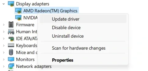Graphics adapter listed under Display Adapters category
