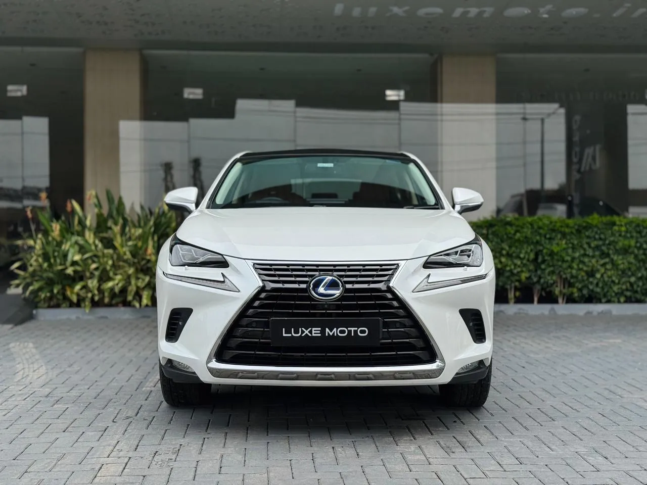 White Lexus NX 300h Luxury with elegant design