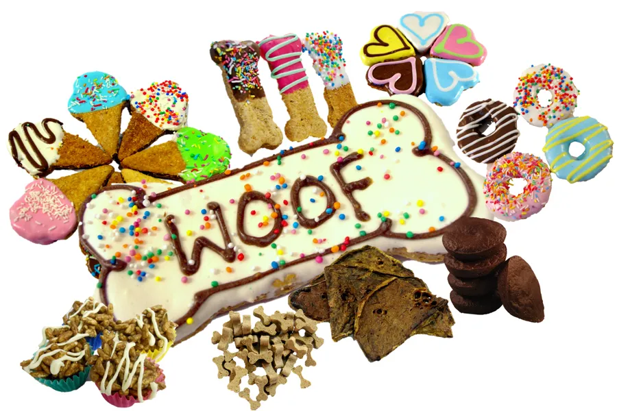 Assorted gourmet dog treat bundle pack featuring multiple textures and flavors for training and reward use