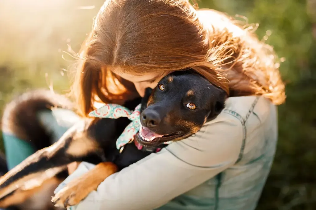 A pet owner gently holding a black and brown dog outdoors in a calm environment