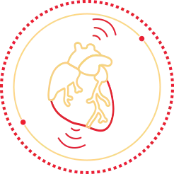Line drawn graphic of heart inside a circle