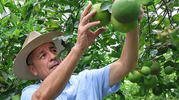 Agricultural workers in Honduras improving rural production systems through expanded financial support