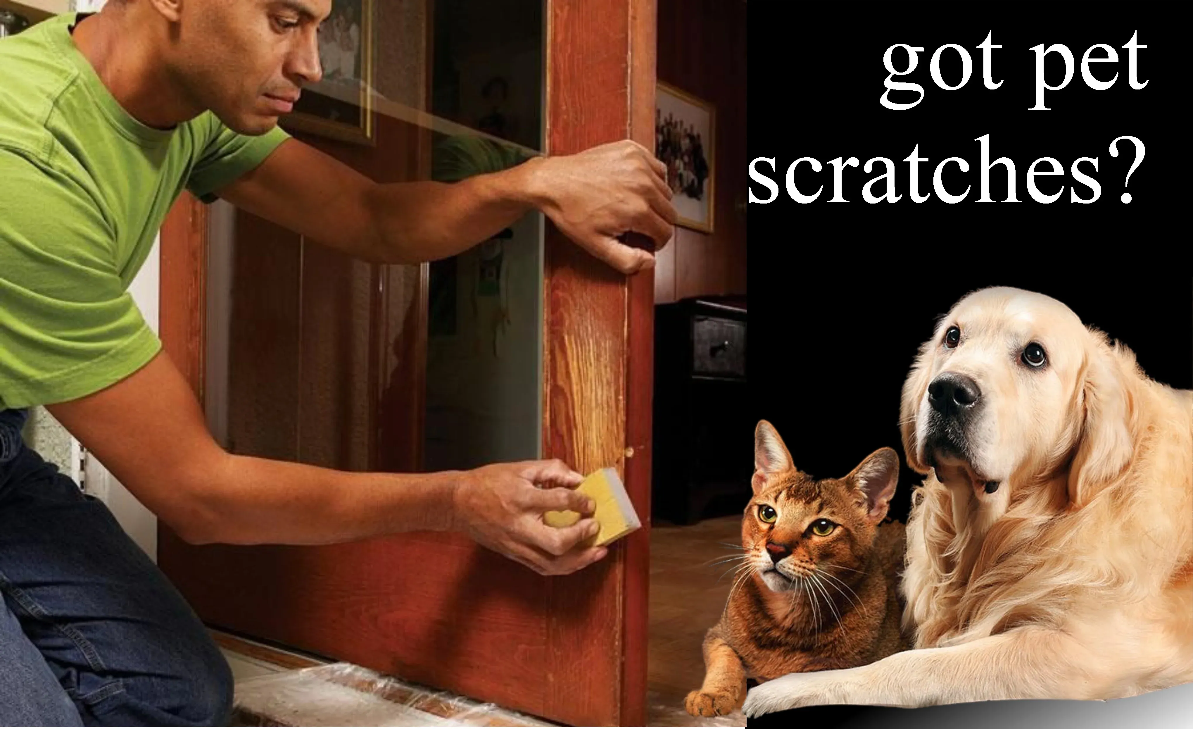 Scratched doors from pets scratching