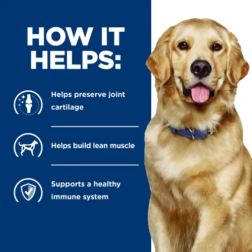 Infographic showing how Hill's Prescription Diet j/d Dry Dog Food helps dogs