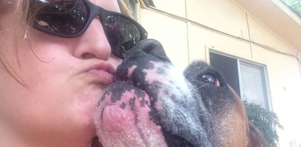 Happy pets interacting with a caregiver in a home setting