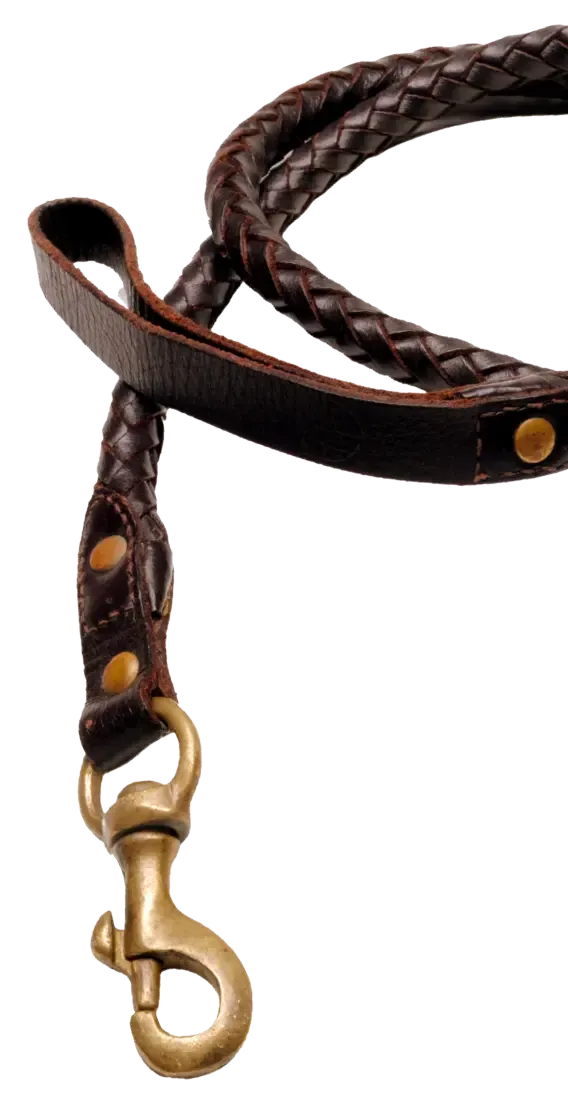 Leather dog leash representing durable pet accessories used in wholesale distribution
