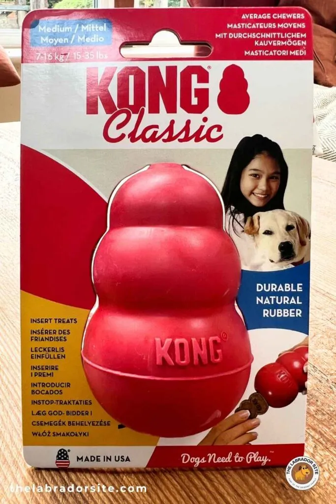 Classic red Kong toy