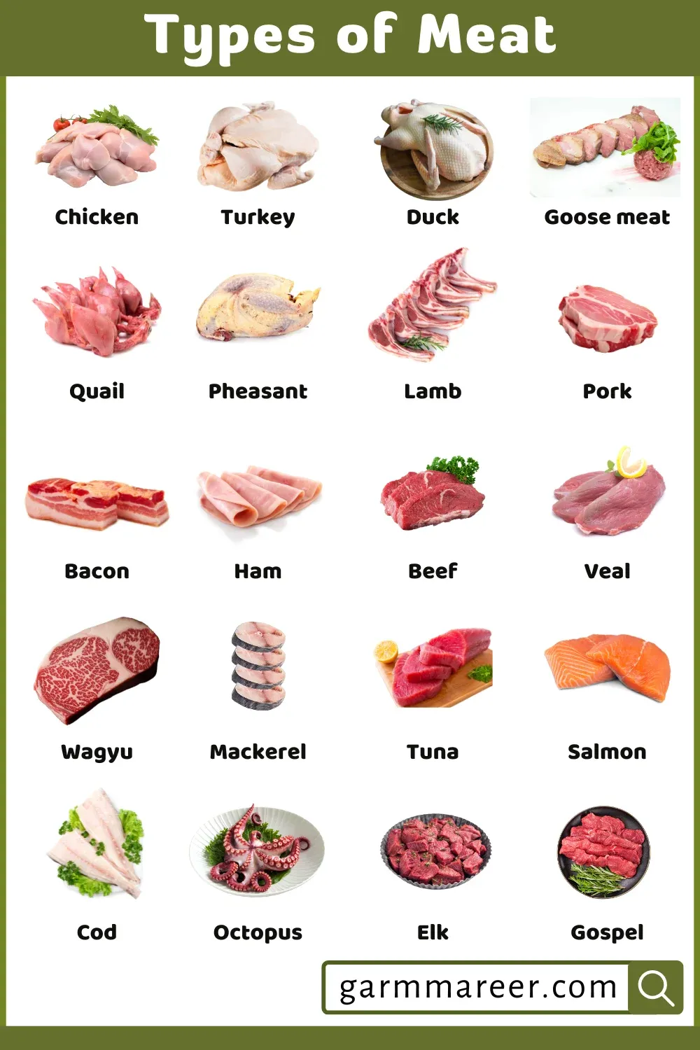 Seafood assortment including fish, shrimp, squid, and crab used in global cuisines