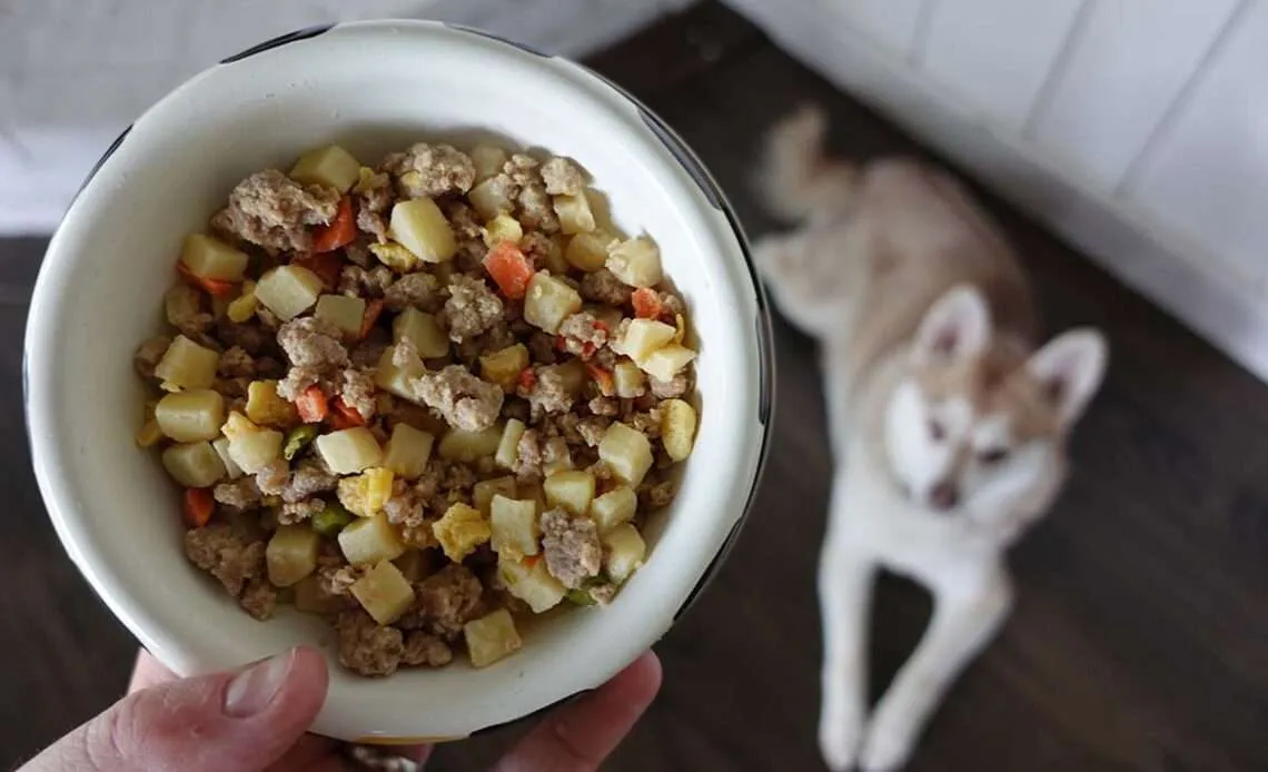 Fresh Nom Nom dog food ingredients in prepared meal tray