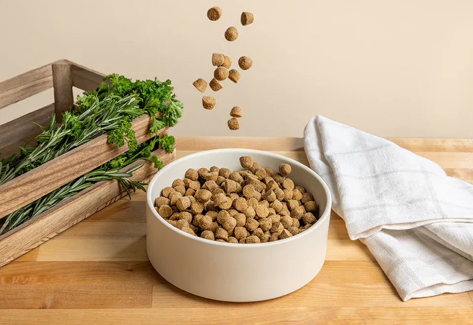 Customizable pet meal combinations with kibble, toppers, and functional nutrition layers