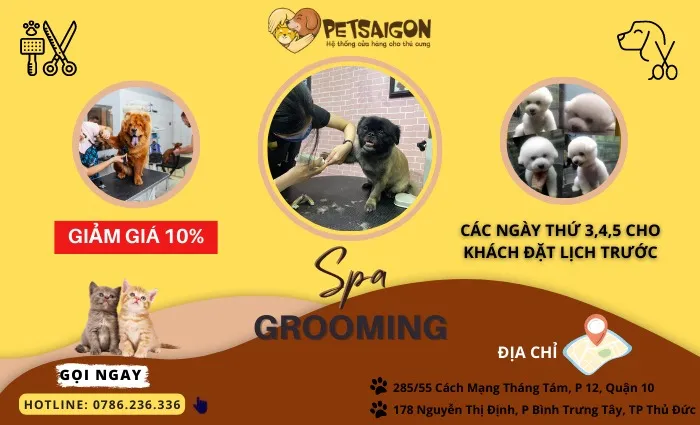 Pet Saigon store displaying premium pet food, toys, and accessories in modern retail space