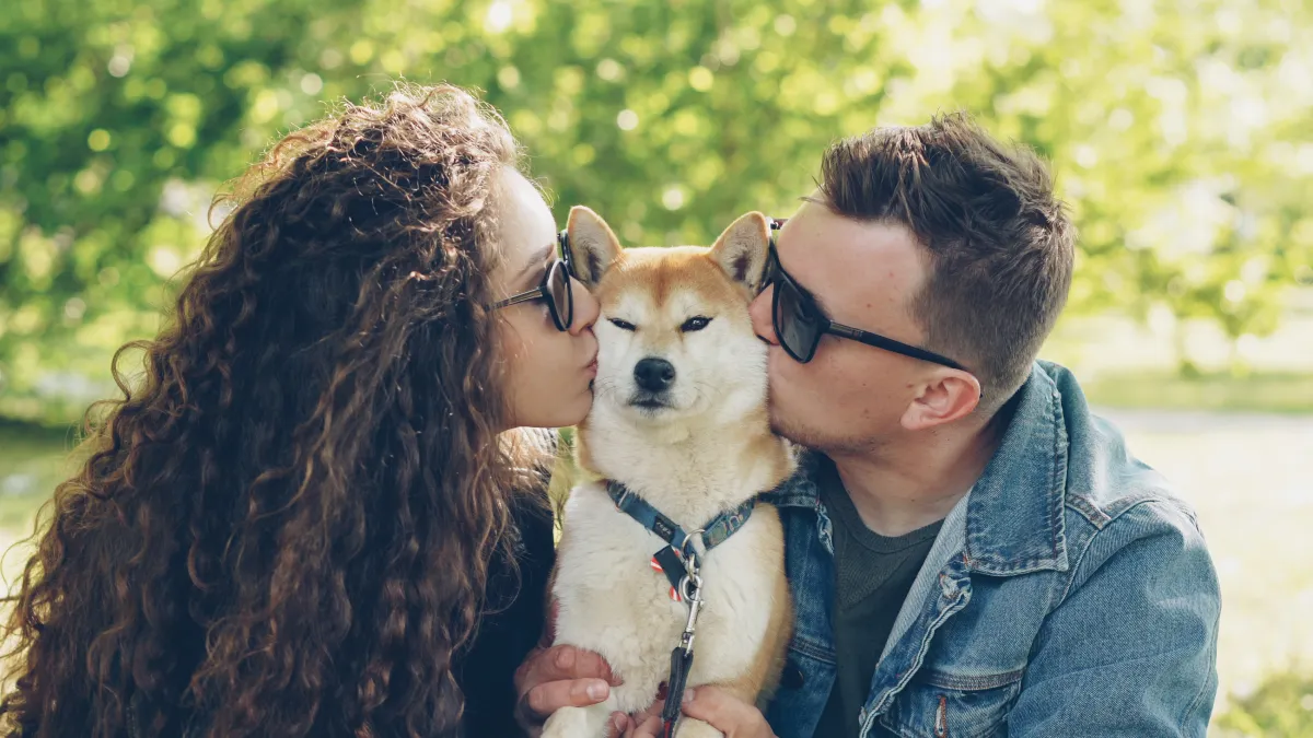 Pet parents affectionately nuzzling their Shiba Inu together