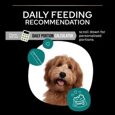 Pro Plan feeding calculator for dog daily nutrition planning