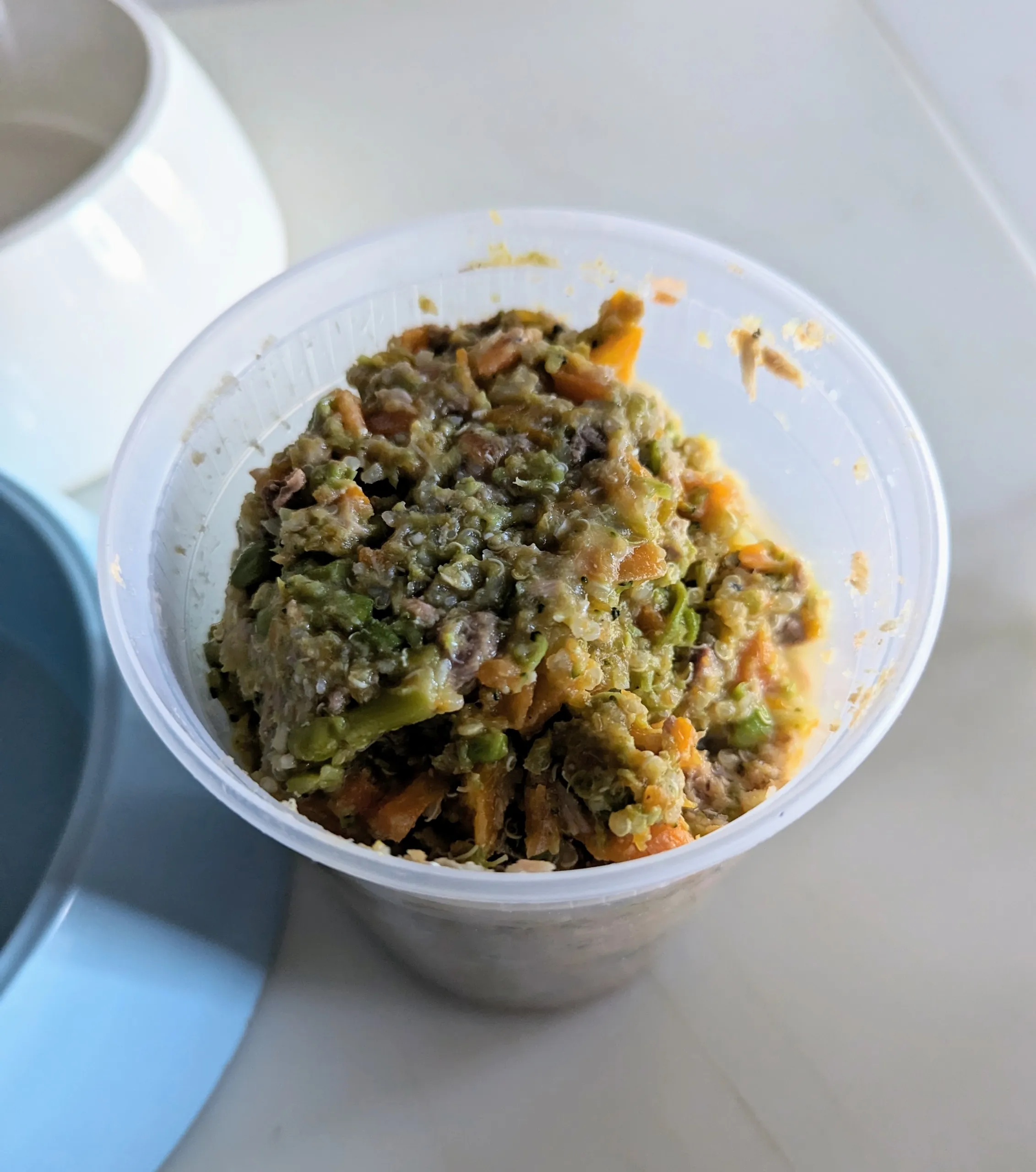 Homemade dog food in containers ready for serving