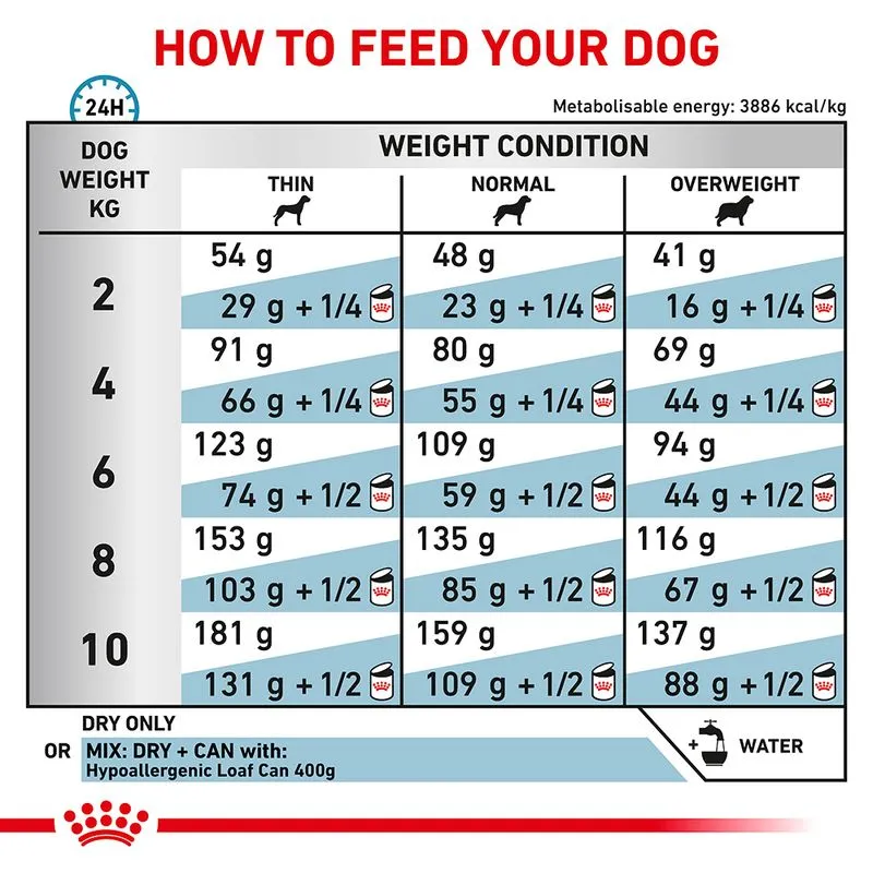 Feeding chart for small dogs showing portion sizes by weight and condition