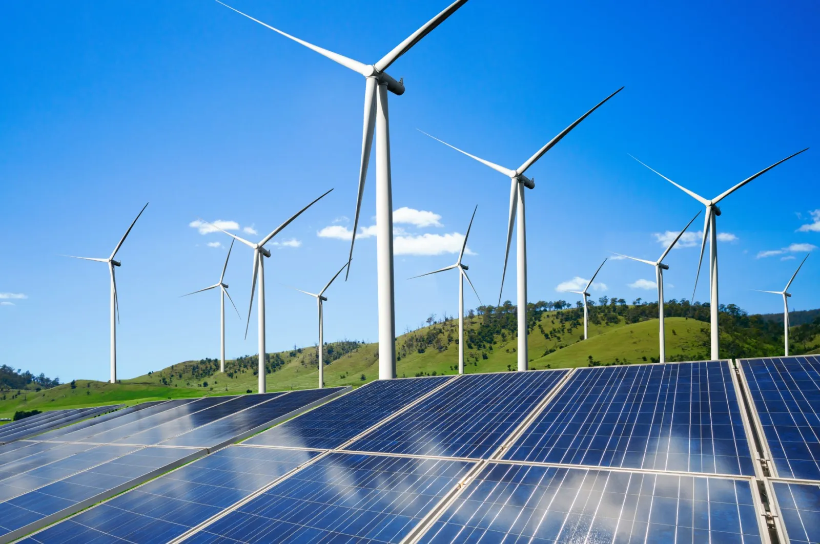 Solar energy infrastructure representing Petrodex's growing renewable energy portfolio