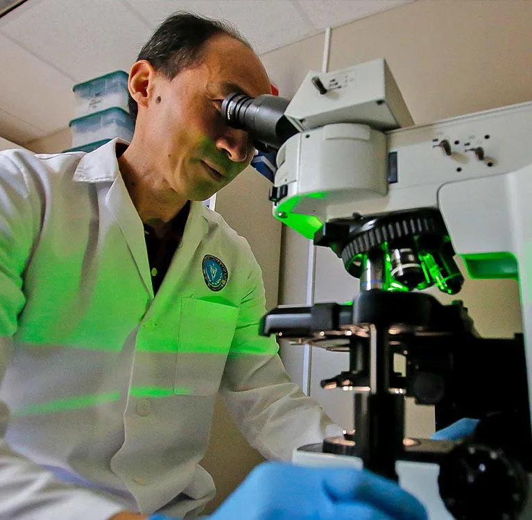 Veterinarian conducting laboratory research using a microscope