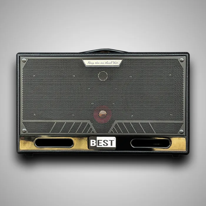 BEST S16-V3 compact karaoke speaker with dual bass configuration