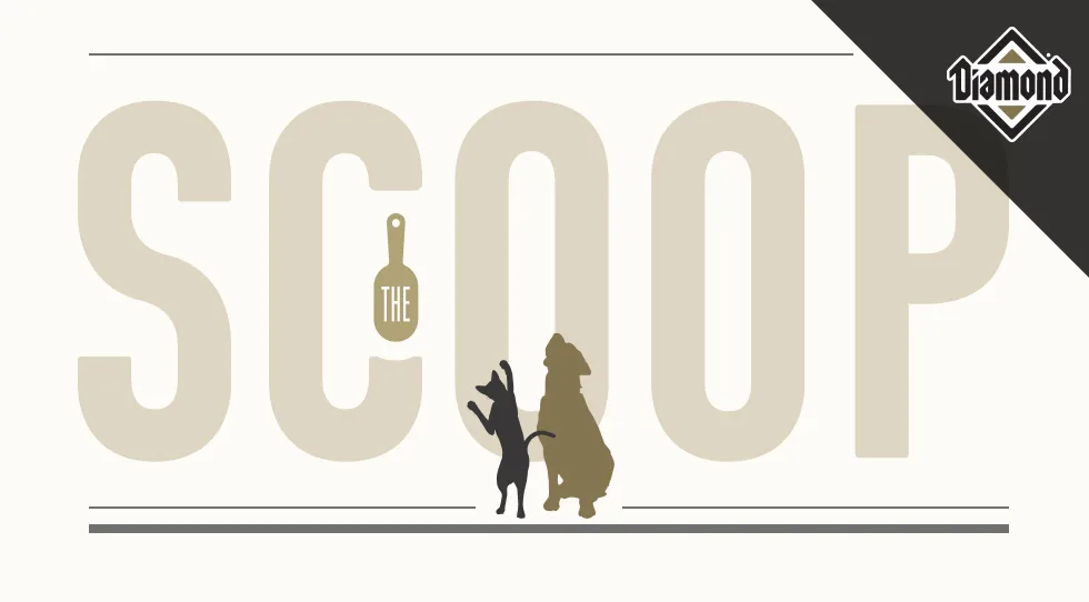 A graphic for The Scoop newsletter from Diamond Pet Foods