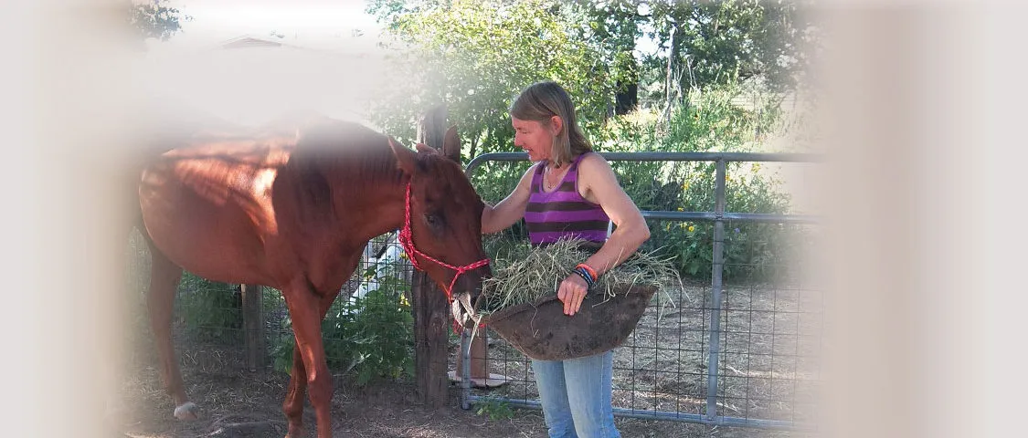 Outdoor pet care service with animals in a calm environment