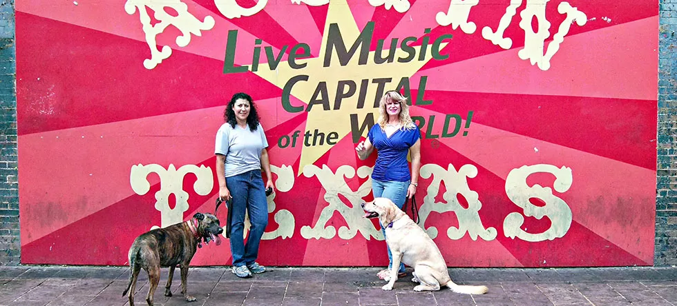 Pet sitter engaging with animals in a structured care environment
