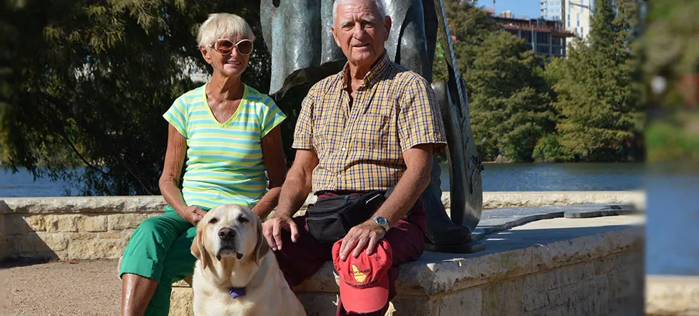 Pet care environment showing calm interaction between animals and caretaker