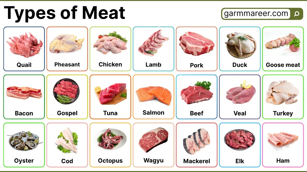 Types of meat categorized with visual examples of beef, chicken, seafood, and organ meats