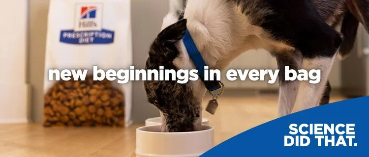 Hill's Prescription Diet therapeutic pet food product line overview