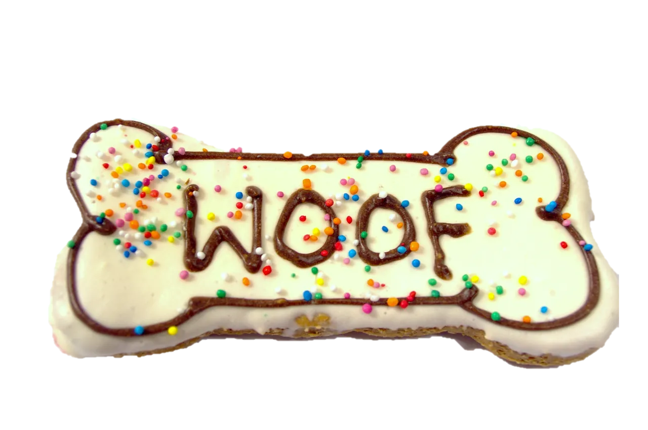 Bone-shaped dog treat designed for chewing and dental cleaning benefits in dogs