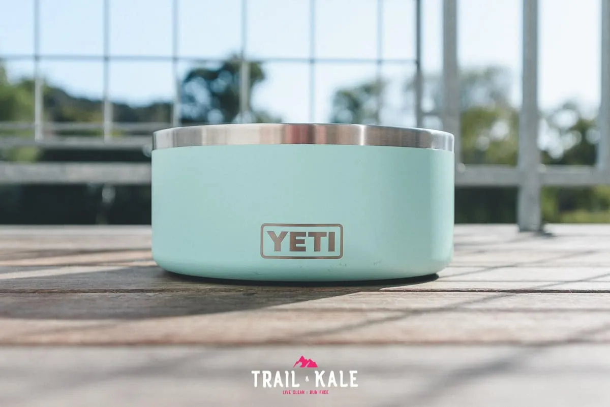 YETI dog bowl with distinctive stainless steel construction and seafoam color