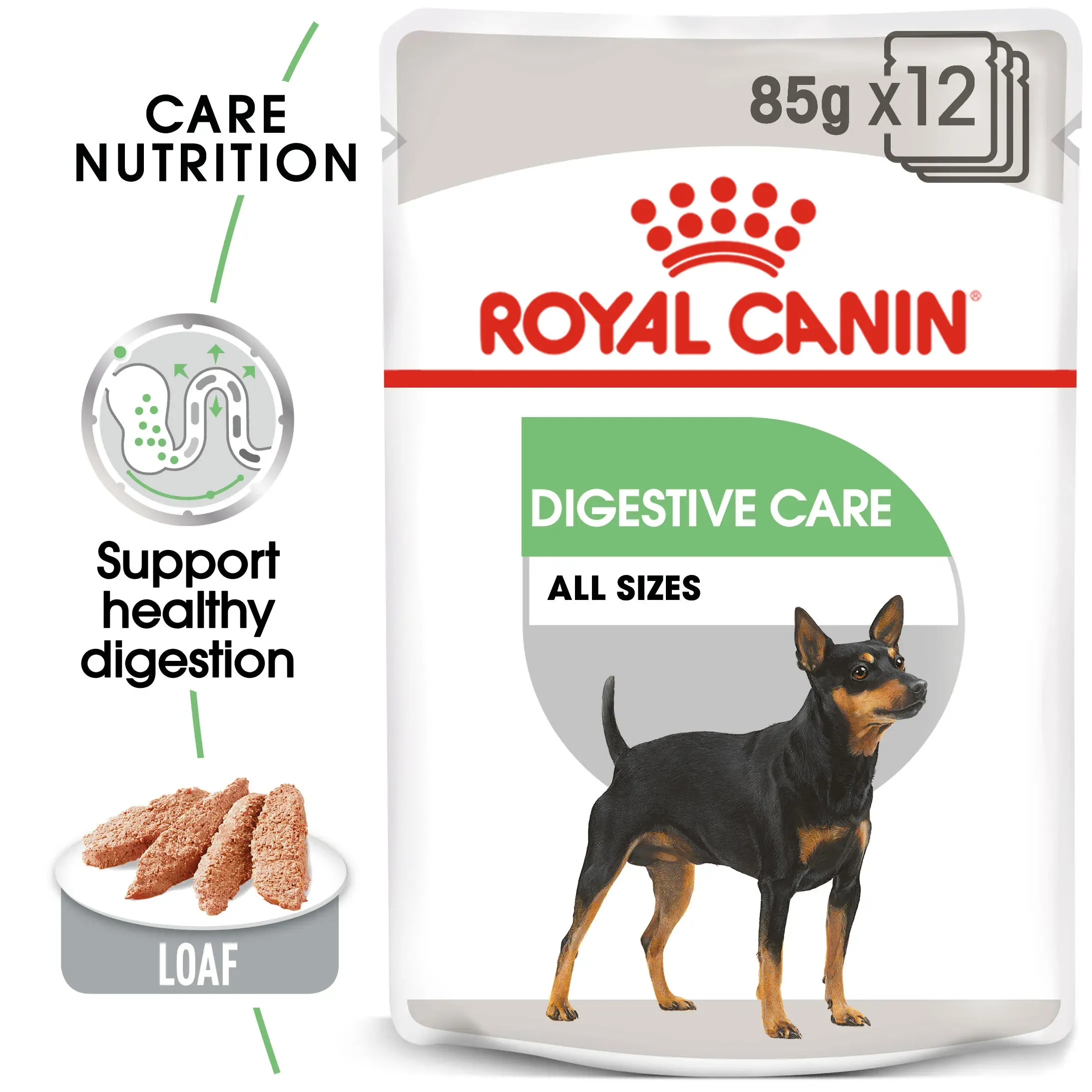 Close-up of Royal Canin Digestive Care pâté texture for dogs with sensitive digestion