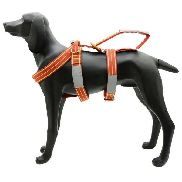 Lightweight harness for dogs
