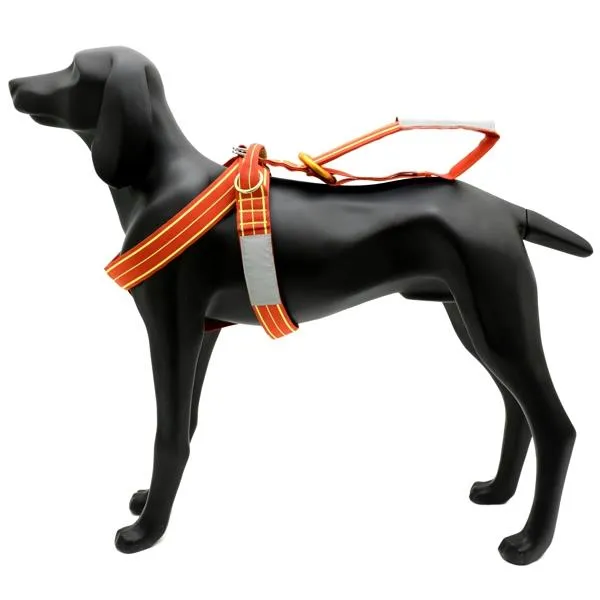Harness details showing buckles and handle
