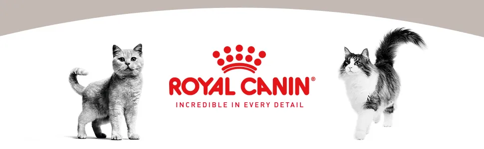 Royal Canin Gastrointestinal wet food supporting feline digestive health