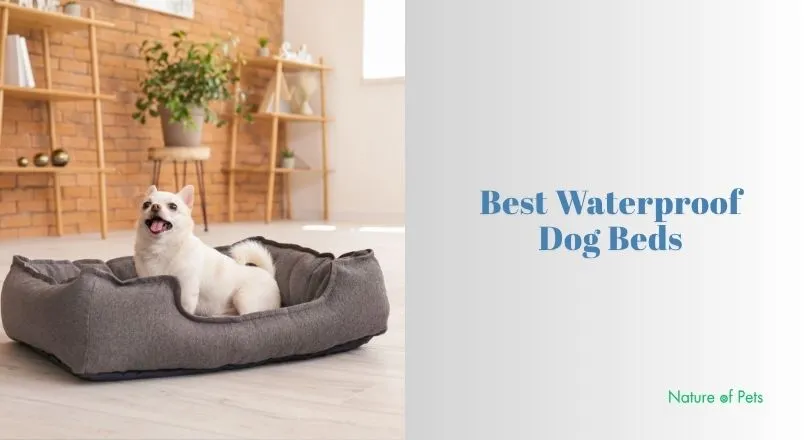 A dog bed sitting on a wooden floor designed to resist water and stains