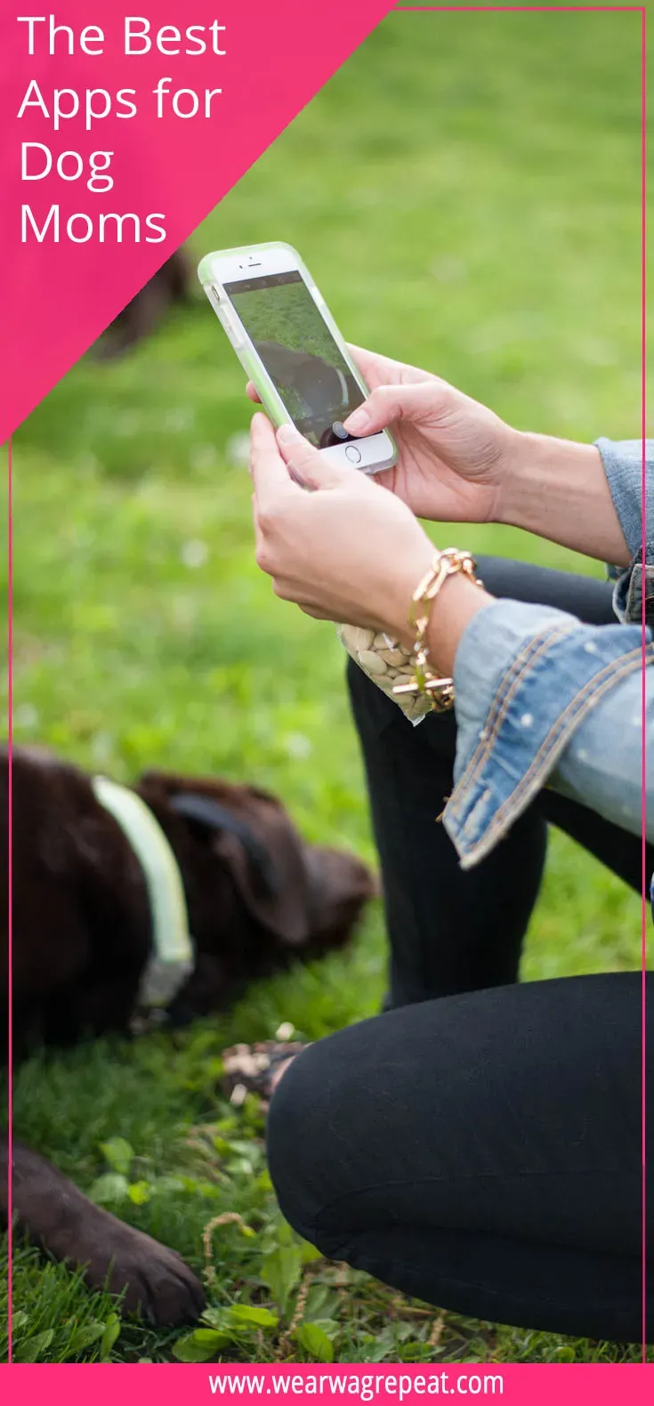 Flat lay of a smartphone, dog leash, treats, and headphones on a pastel background