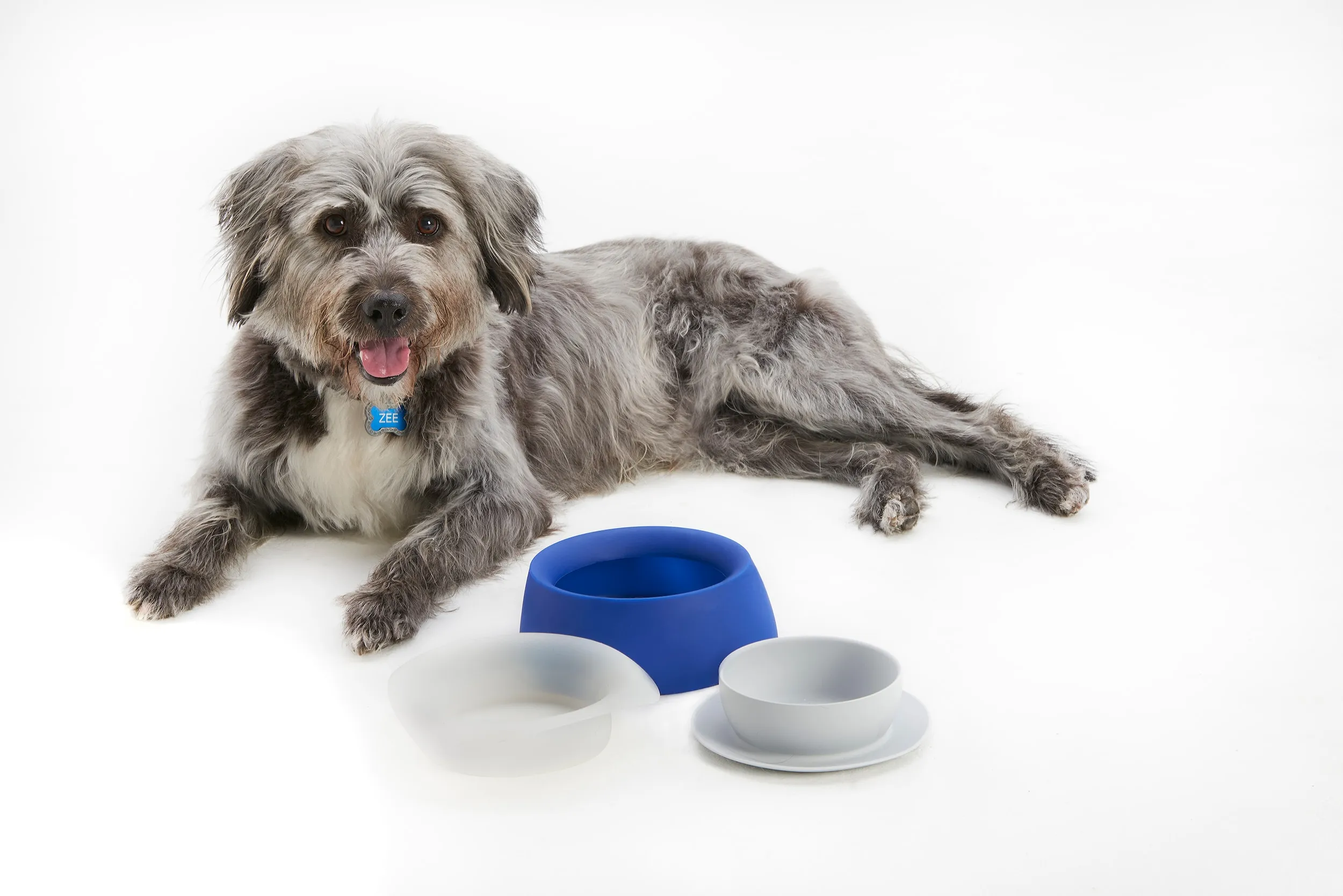 Subaru-branded travel bowl with lid resting on a vehicle cargo floor