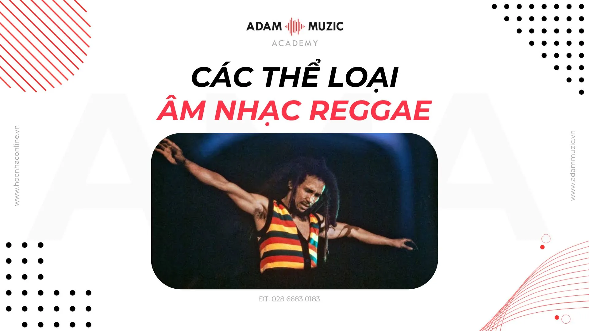 Reggae music styles and cultural representation
