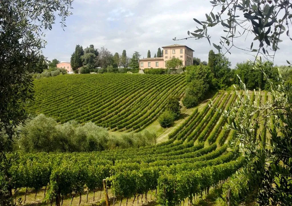 Florence travel guide: a day trip to a vineyard in Chianti, Tuscany, with a country villa