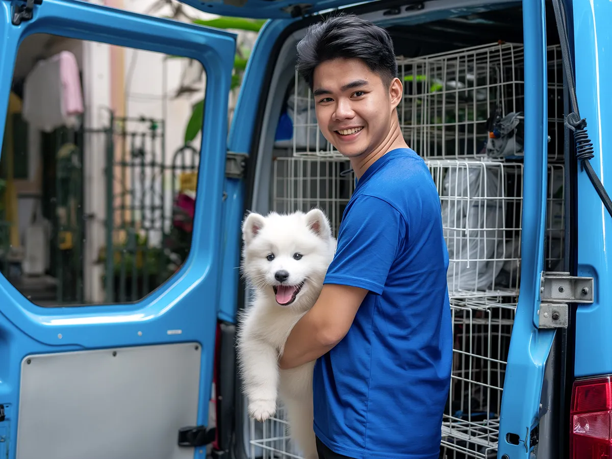 Pet transportation service picking up a dog and cat by car for a veterinary visit