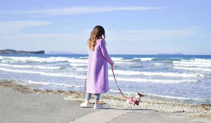 Dog walker guiding a leashed dog through a neighborhood park