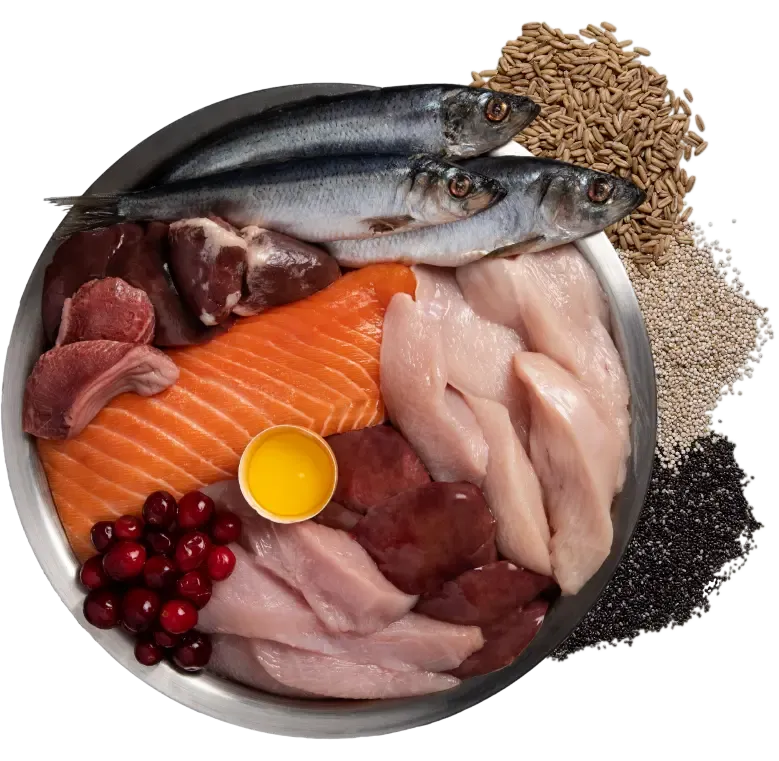 Bowl of grain-inclusive dry pet food kibble